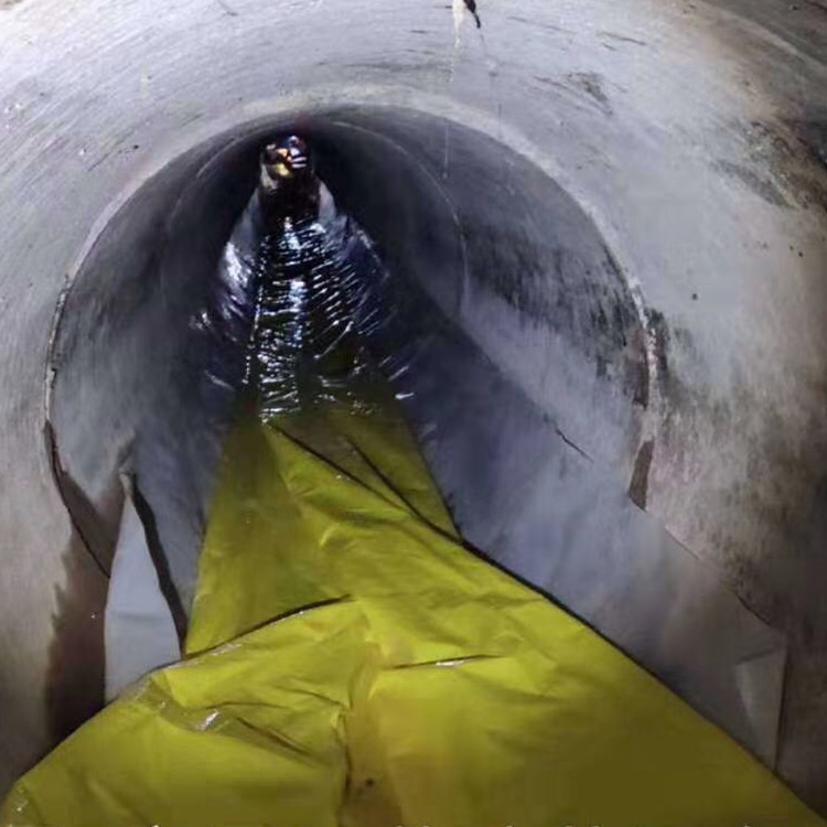 浏阳管道光固化修复